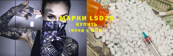 хмурый Арсеньев