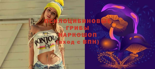 шишки Армянск