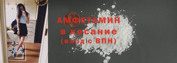 шишки Армянск