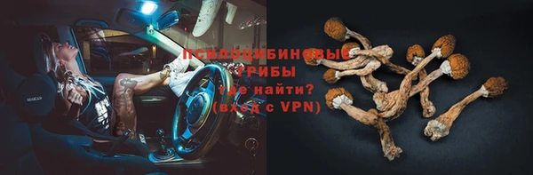 хмурый Арсеньев