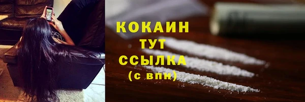 хмурый Арсеньев