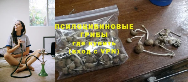 шишки Армянск