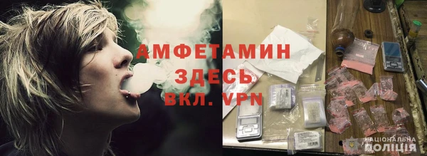 шишки Армянск