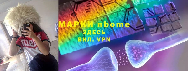 хмурый Арсеньев