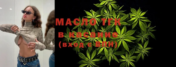 хмурый Арсеньев