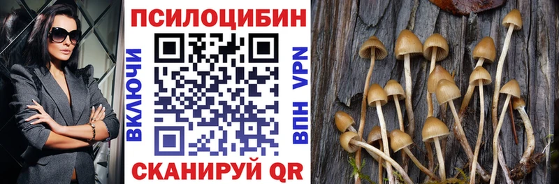 Галлюциногенные грибы прущие грибы  наркошоп  Туринск 
